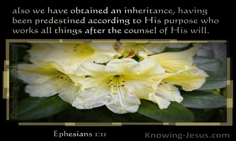 Ephesians 1:11 We Have Obtained An Inheritance Having Been Predestined (black)